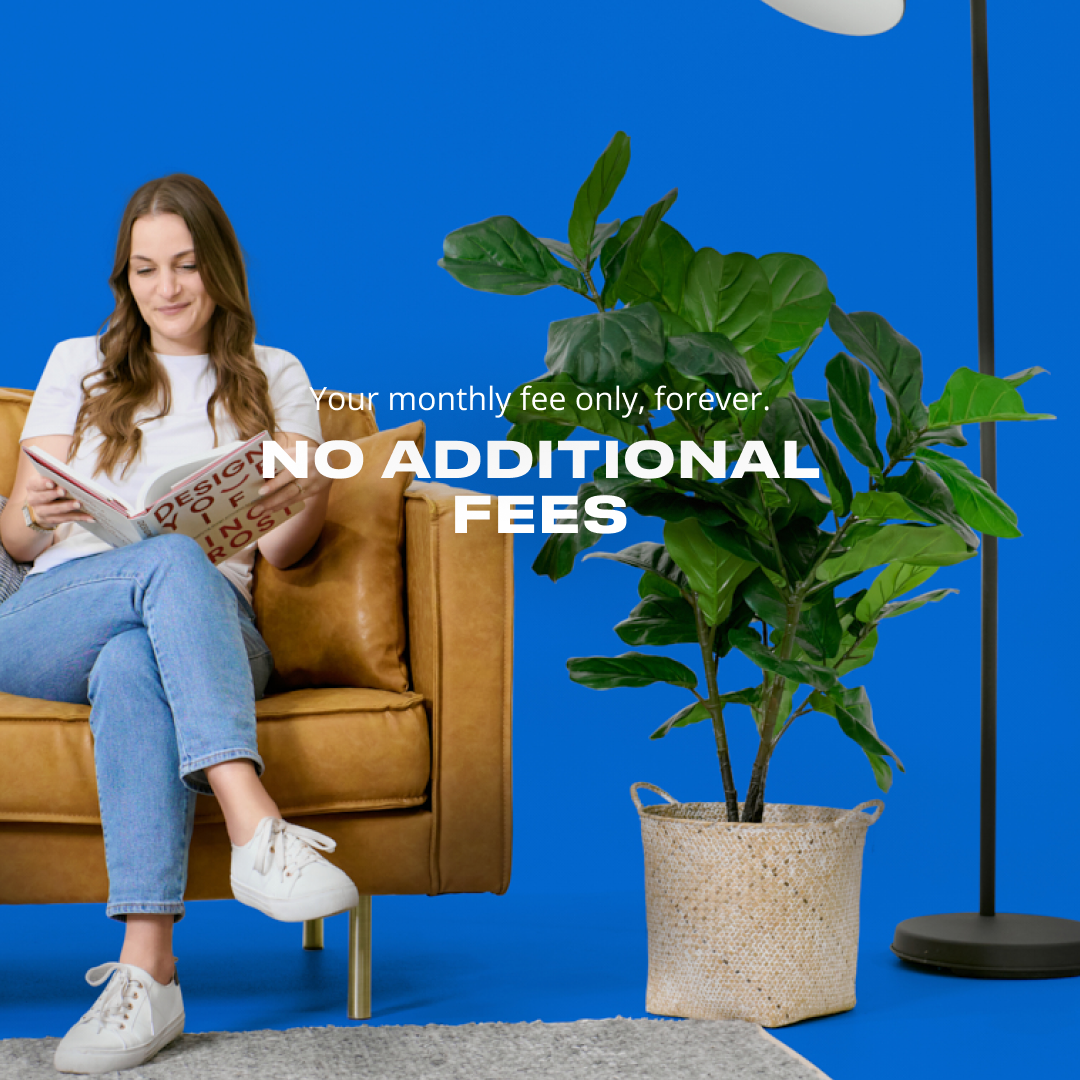 no-additional-fees